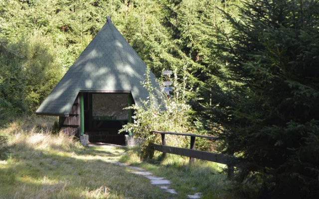 Prameny Odry pod Fidlovým kopcem