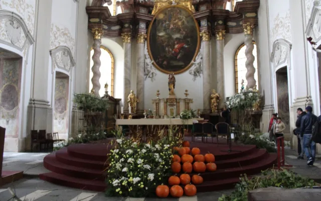 FOTOGALERIE: Olomoucké památky rozkvetly květinami, podívejte se na tu krásu
