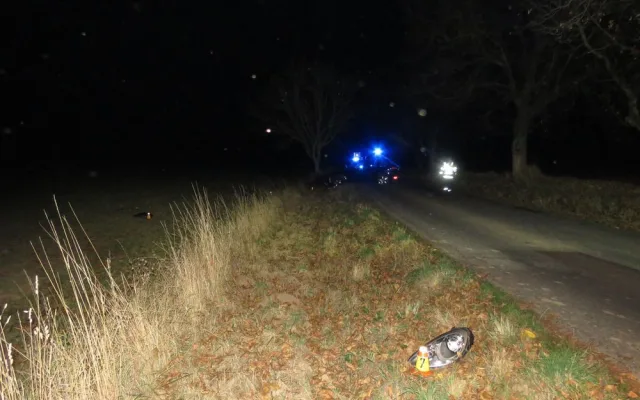 Podnapilý řidič narazil se svým Porsche do stromu. Policistům řekl, že vypil dvě nealko piva