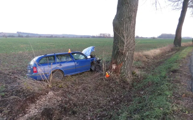 Řidič se na rovném úseku snažil vyhnout zajíci, se svým autem skončil ve stromě