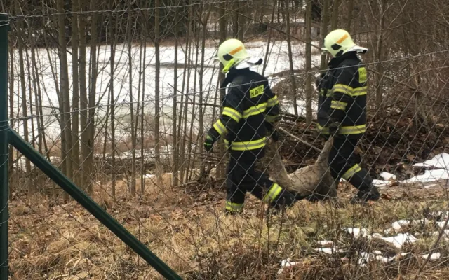 AKTUÁLNĚ: Kvůli silnému větru jsou v pohotovosti hasiči po celém kraji, zatím řešili 17 událostí