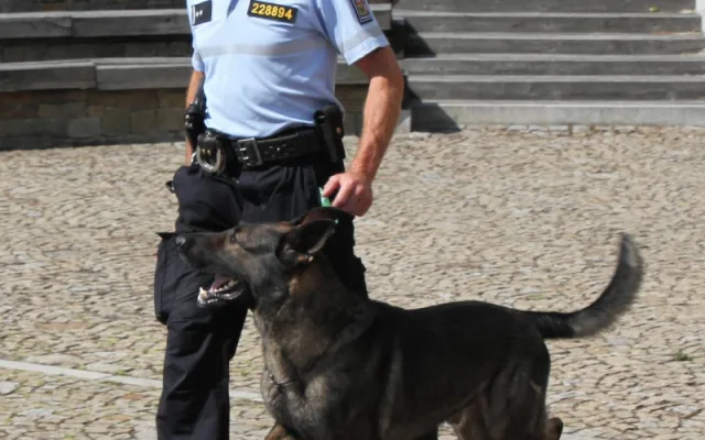 Tonoucího muže udržoval na hladině několik minut policejní psovod. Život nezachraňoval poprvé