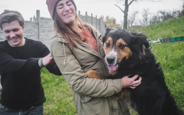 Olomoučtí dobrovolníci znovu pořádají sbírku Šťastné a Chlupaté. Udělejte psům v útulku hezké Vánoce