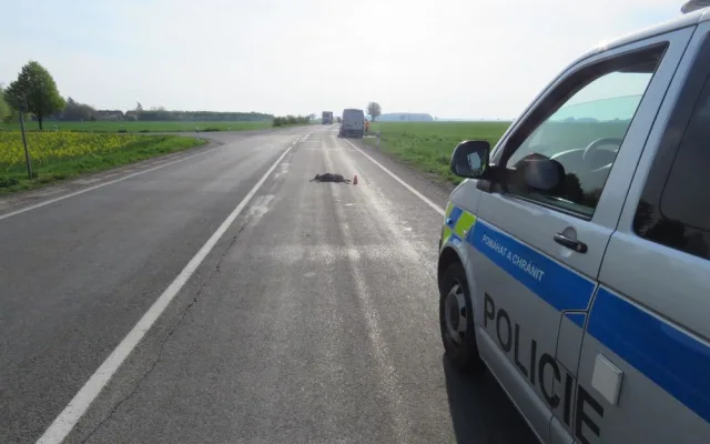 FOTO: Policisté ve středu zasahovali u dvou střetů auta se zvěří