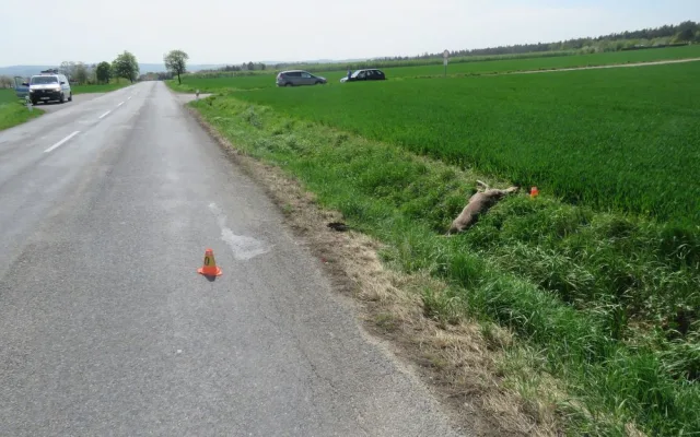 FOTO: Policisté ve středu zasahovali u dvou střetů auta se zvěří
