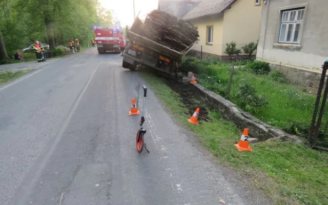 Řidič naboural kvůli včele, škoda přesáhla sto tisíc
