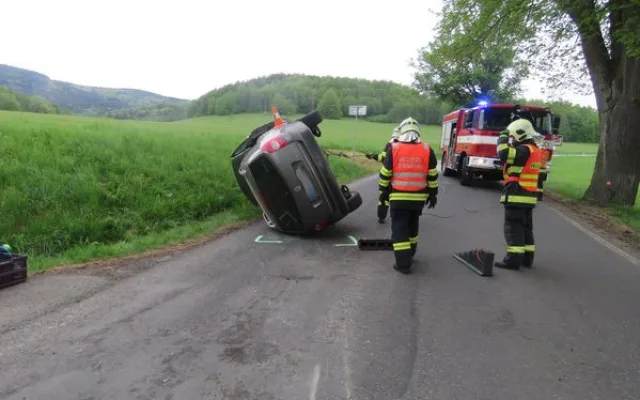 Řidič naboural kvůli včele, škoda přesáhla sto tisíc