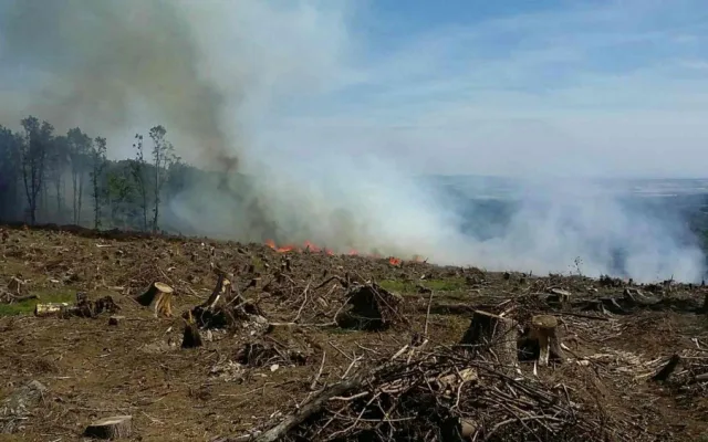FOTO: Hasiči od odpoledne likvidují požár ve Vojenském prostoru Libavá