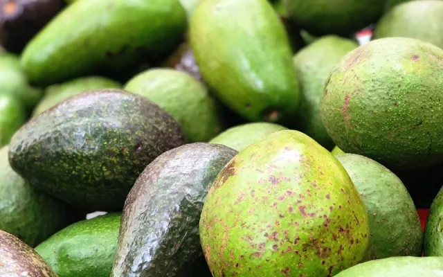V areálu Letního kina se bude ochutnávat exotické ovoce, Virunga doveze annony, dračí ovoce i jackfruity