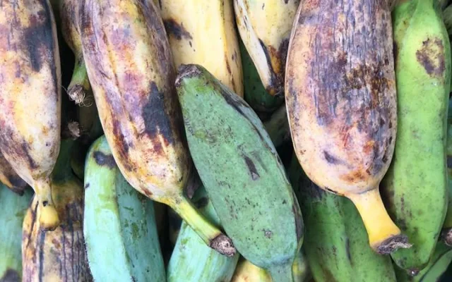 V areálu Letního kina se bude ochutnávat exotické ovoce, Virunga doveze annony, dračí ovoce i jackfruity