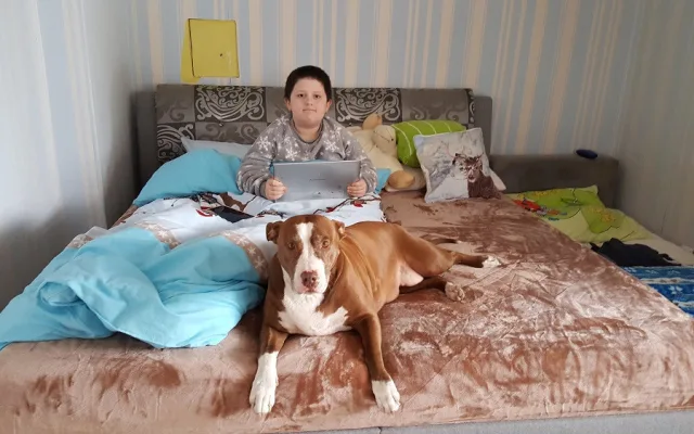 Matka sama pečuje o syna s autismem. Nyní jim hrozí, že přijdou o střechu nad hlavou