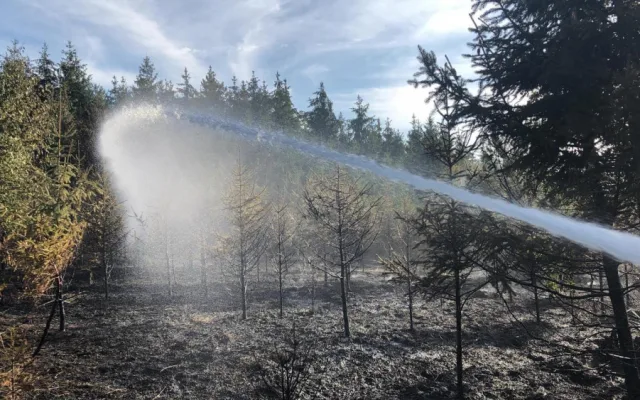 FOTO/VIDEO: Shořely tři hektary lesa, zasahovalo 17 jednotek hasičů a vrtulník