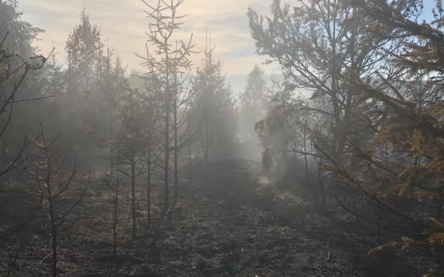 FOTO/VIDEO: Shořely tři hektary lesa, zasahovalo 17 jednotek hasičů a vrtulník
