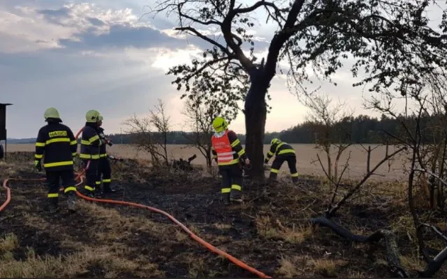 Blesk zapálil strom a strniště v Topolanech a Pavlově