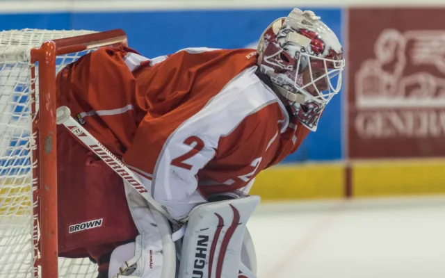 FOTOGALERIE: Kohouti si poradili se soupeřem z KHL, porazili Vladivostok 4:2