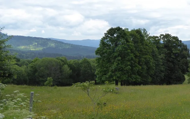 Zlatá stezka. To je síť atraktivních turistických tras na „Zelené střeše Evropy“