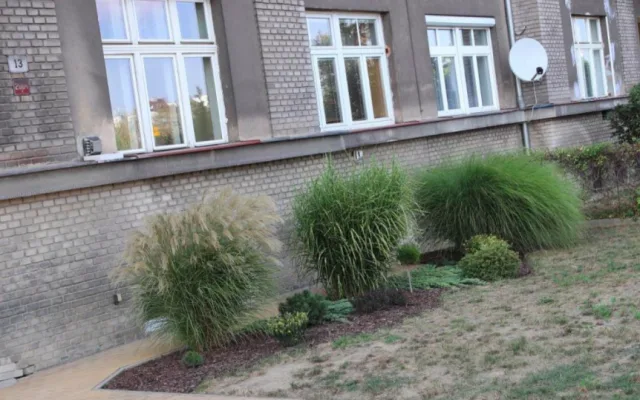 Ve vyhlášení předzahrádky roku se letos objeví jen dvě místa, podle odborníků byla úroveň ročníku nízká