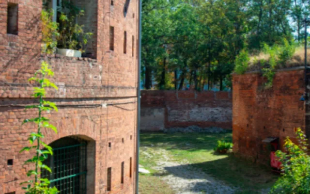 Vedoucí spisovny ve Fakultní nemocnice jde do penze. V bludišti dokumentů strávila Miloslava Dudková 36 let