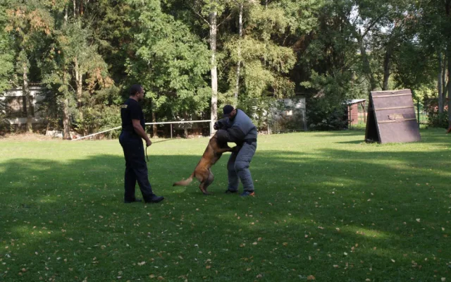 FOTO: Den policistou. Děti ze základní škol poměřovaly síly v různých policejních disciplínách