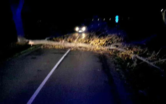 FOTO: Hasiči v noci zasahovali u čtyřiceti případů, silný vítr láme stromy a situace se neuklidňuje