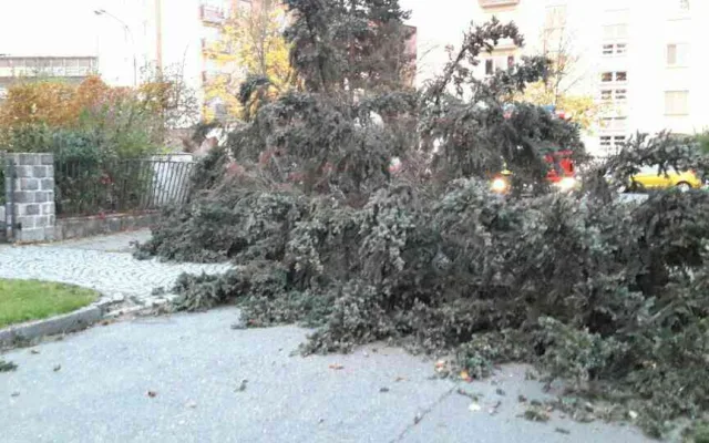 Hasiči za sebou mají od včerejšího večera kvůli silnému větru více než sto šedesát výjezdů