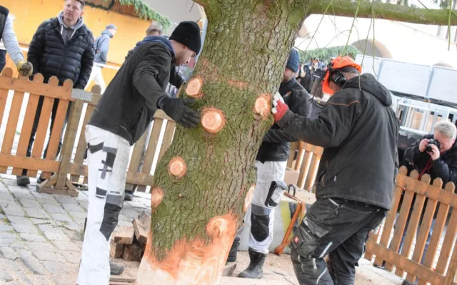 FOTO/VIDEO: Na náměstí už stojí vánoční stromeček. Jméno se dozvíme při pátečním rozsvěcení
