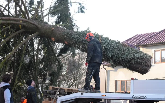 FOTO/VIDEO: Na náměstí už stojí vánoční stromeček. Jméno se dozvíme při pátečním rozsvěcení