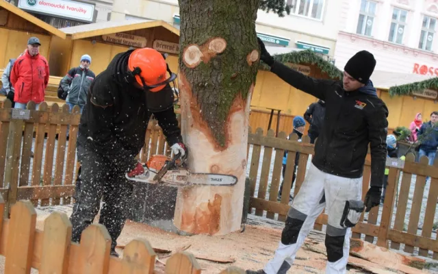FOTO/VIDEO: Na náměstí už stojí vánoční stromeček. Jméno se dozvíme při pátečním rozsvěcení