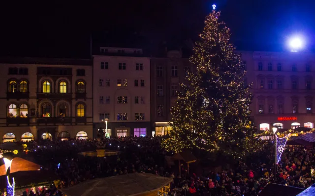 FOTO/VIDEO: Olomoucký vánoční strom dostal jméno Štístko. Podívejte se na fotky z rozsvícení!