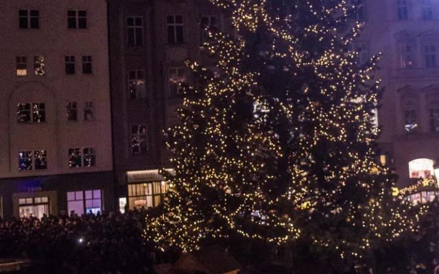 FOTO/VIDEO: Olomoucký vánoční strom dostal jméno Štístko. Podívejte se na fotky z rozsvícení!