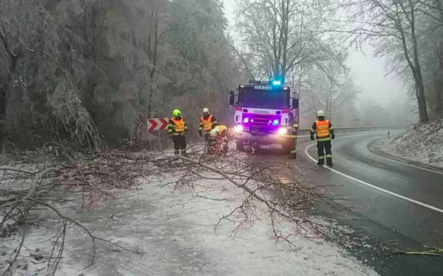 FOTO: Hasiči od oběda vyjížděli v kraji už k osmi popadaným stromům, na vině je tíha ledové krusty na nich
