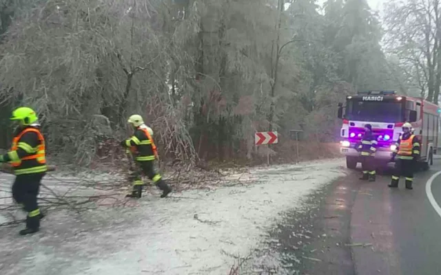 FOTO: Hasiči od oběda vyjížděli v kraji už k osmi popadaným stromům, na vině je tíha ledové krusty na nich