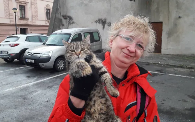 FOTO: Kočka uvízla v korytě řeky, ven jí pomohli strážníci