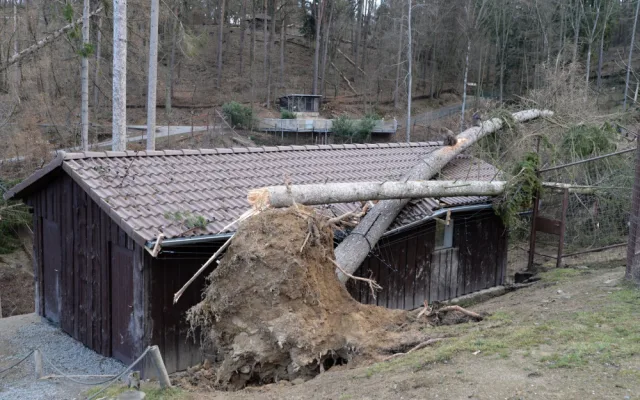 AKTUÁLNĚ: Olomoucká zoologická zahrada zůstává kvůli kalamitě zavřená