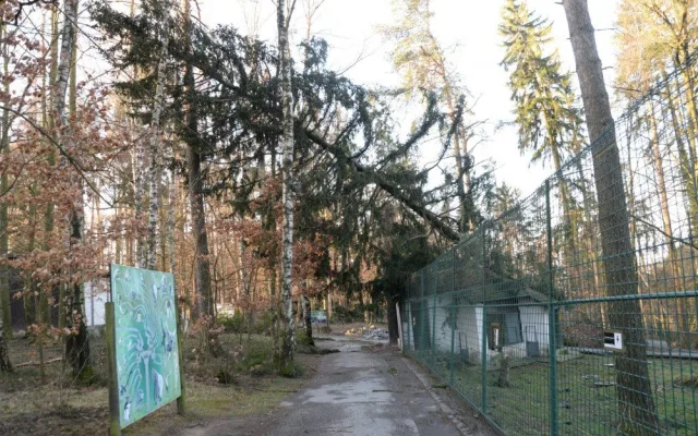 AKTUÁLNĚ: Olomoucká zoologická zahrada zůstává kvůli kalamitě zavřená