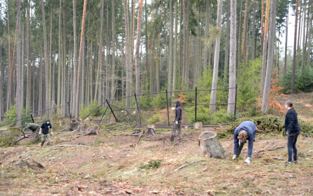 FOTO: Dobrovolníci se pustili do úklidu škod po vichřici v olomoucké zoo