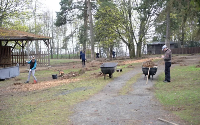 FOTO: Dobrovolníci se pustili do úklidu škod po vichřici v olomoucké zoo
