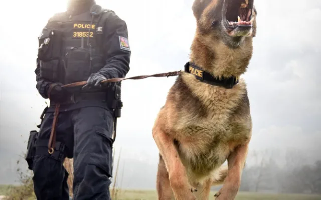 FOTO/VIDEO: Policie nabízí volná služební místa v celém Olomouckém kraji