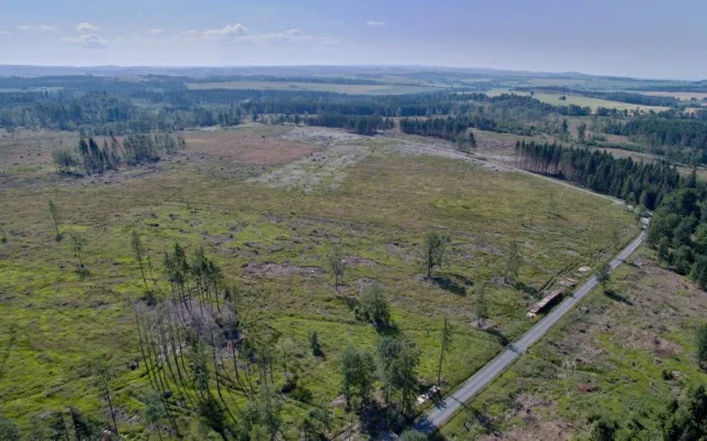 FOTO/VIDEO: Oslabené lesy napadá kůrovec. Dobrovolníci dostanou sazenice a pomohou s výsadbou