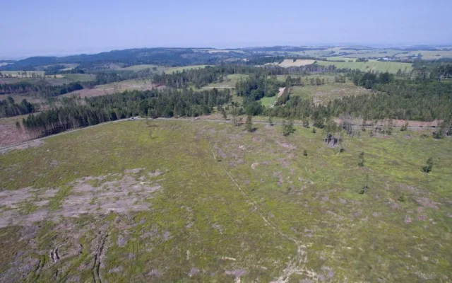 FOTO/VIDEO: Oslabené lesy napadá kůrovec. Dobrovolníci dostanou sazenice a pomohou s výsadbou