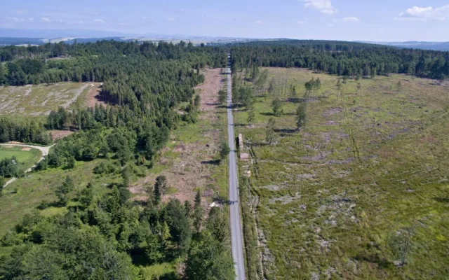 FOTO/VIDEO: Oslabené lesy napadá kůrovec. Dobrovolníci dostanou sazenice a pomohou s výsadbou