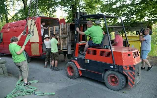 FOTO/VIDEO: Medvědi, kteří byli zabaveni na letišti, odjeli z Olomouce do Českého Krumlova