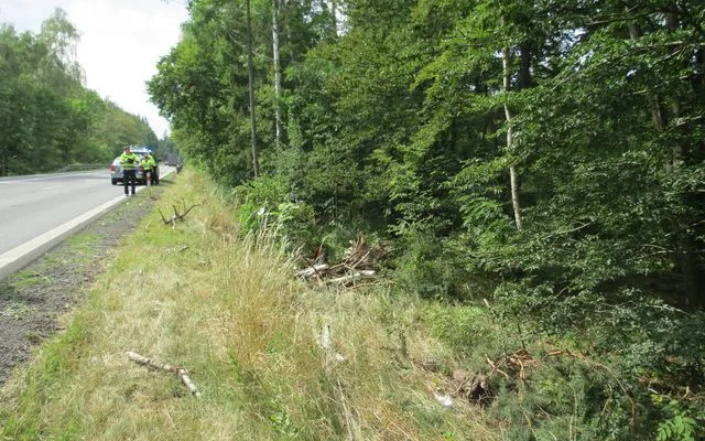 FOTO: Senior usnul za volantem. Narazil do stromu a skončil v nemocnici