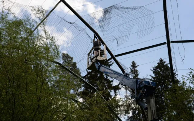 FOTO: Ve voliéře zvané Bábovka v Olomoucké zoo přibyly čedičové varhany