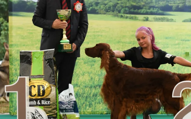 Na Výstavišti Flora se koná psí výstava Floracanis, k vidění bude přes dva a půl tisíce pejsků