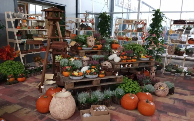 FOTO: V Olomouci otevřelo nové Zahradní centrum Florcenter. Podívejte se na fotky