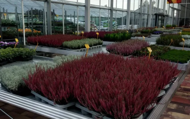FOTO: V Olomouci otevřelo nové Zahradní centrum Florcenter. Podívejte se na fotky
