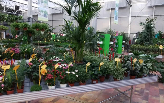 FOTO: V Olomouci otevřelo nové Zahradní centrum Florcenter. Podívejte se na fotky
