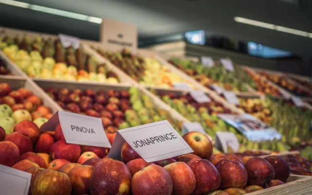 FOTO/ANKETA: Začala podzimní Flora. Jak se vám líbí letošní hlavní expozice?