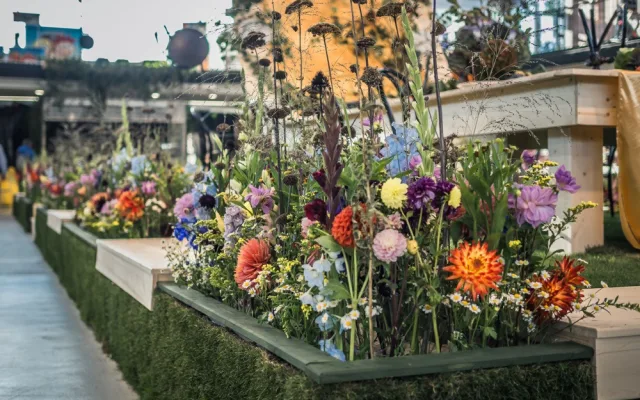 FOTO/ANKETA: Začala podzimní Flora. Jak se vám líbí letošní hlavní expozice?